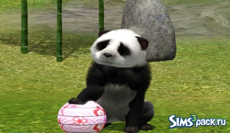 Большая и маленькая панда