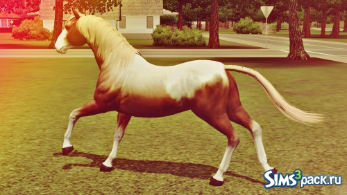Лошадь Гроза от YanaStarzzz