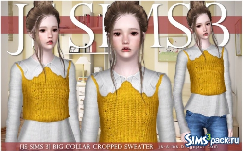 Свитер Big Collar Cropped JS Sims от JS Sims