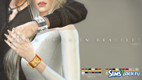 Браслет Collier de Chien Bracelet от TokSik