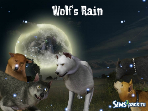 Wolf's Rain от Алекс666