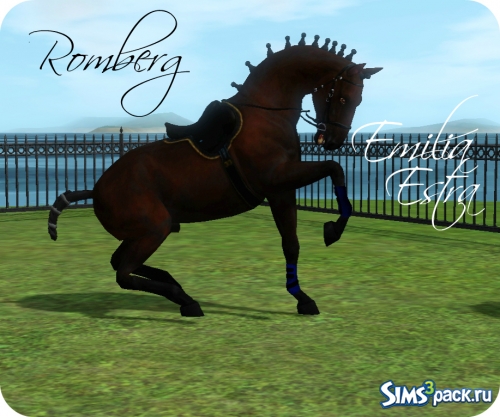 Конь Romberg (Ромберг) от Emilia Estra