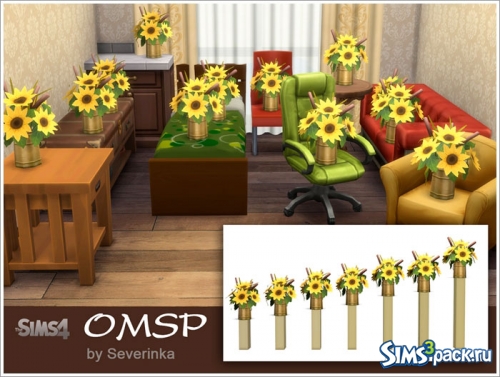 TS4. OMSP set