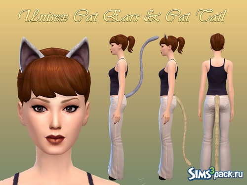 Cat Ears & Cat Tail
