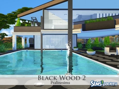 Дом Black Wood 2