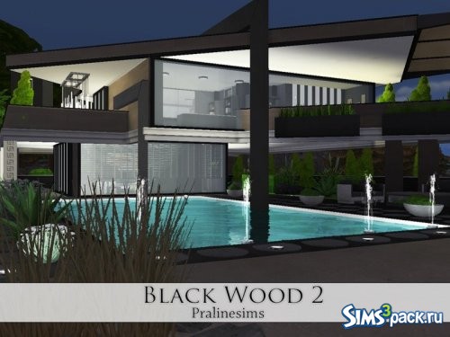 Дом Black Wood 2