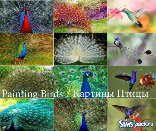 Painting Birds / Картины Птицы