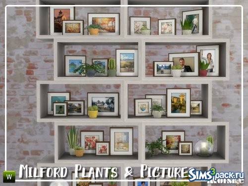 Фотографии и растения Milford 