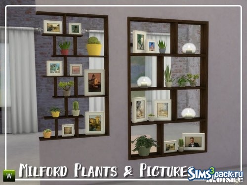 Фотографии и растения Milford 