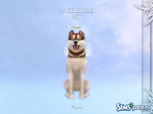 Сет Angelic Dog от Suzue