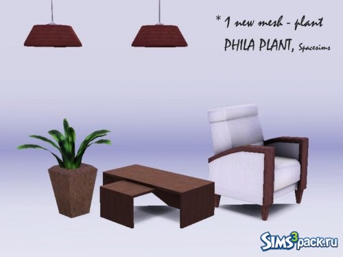 Растение Phila от spacesims