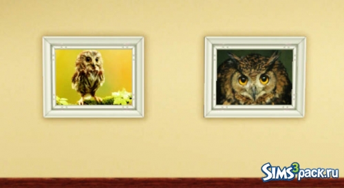 Сет картин "Funny Owl Set" от Much