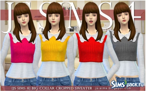 Свитер Big Collar Cropped от JS Sims