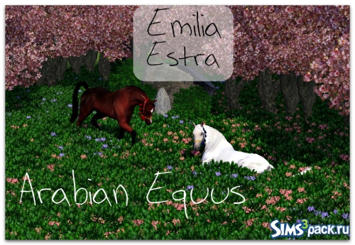 Арабский Конь (Arabian Equus) от Emilia Estra