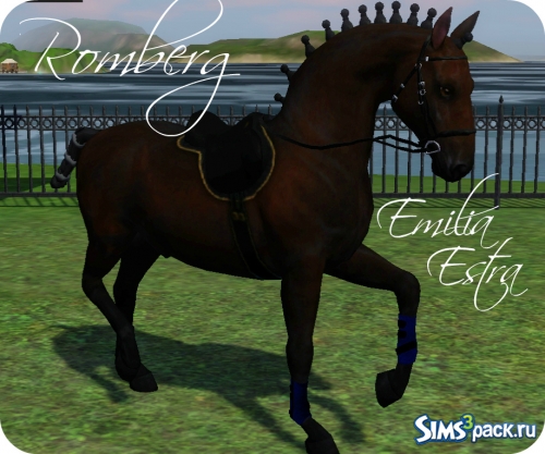 Конь Romberg (Ромберг) от Emilia Estra