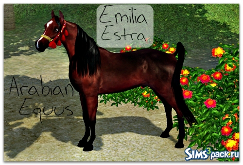 Арабский Конь (Arabian Equus) от Emilia Estra