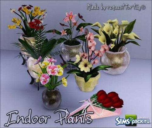 Цветы Indoor Plants от sim_man123