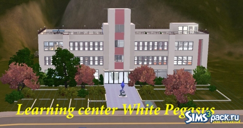 Учебный центр White Pegasus от ОлЯля