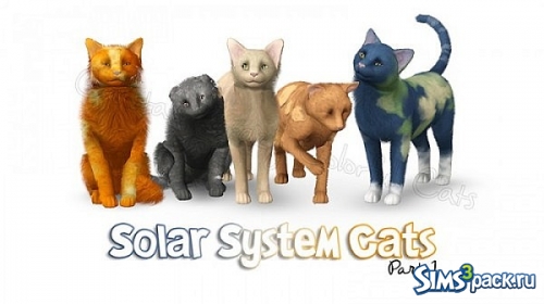 Кошки Solar System от Calista
