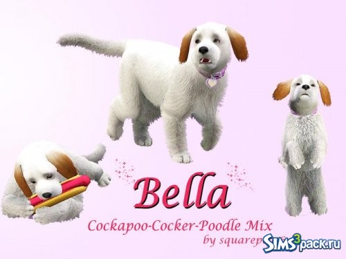 Собачка Bella от squarepeg56