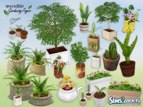 Набор растений Gardening Foyer от SIMcredible!