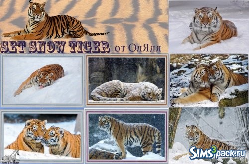 Set &quot;Snow tiger&quot; / Набор &quot;Снежный тигр&quot; от ОлЯля