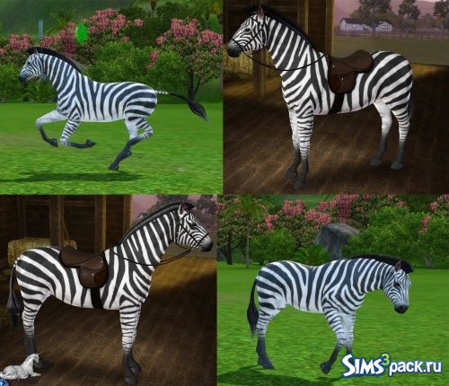 Zebra Horse / Лошадь Зебра