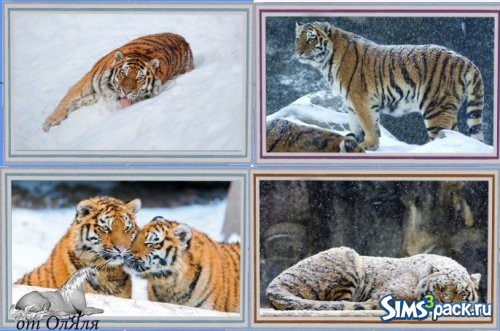 Set "Snow tiger" / Набор "Снежный тигр"