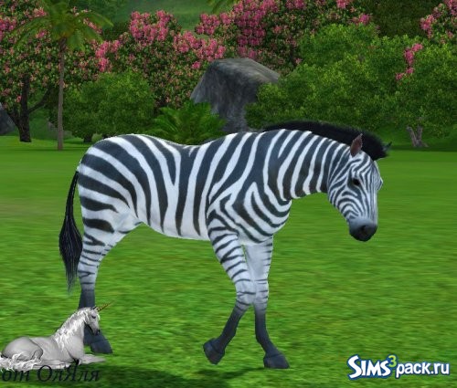 Zebra Horse / Лошадь Зебра