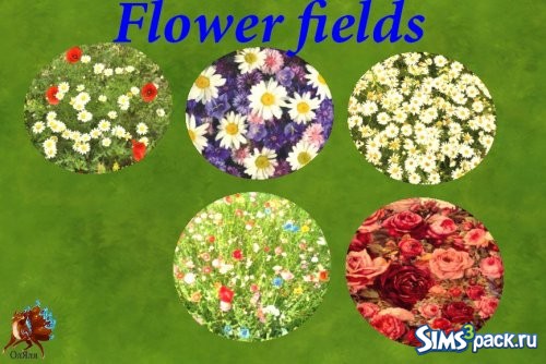 Flower fields / Цветочная поляна от ОлЯля