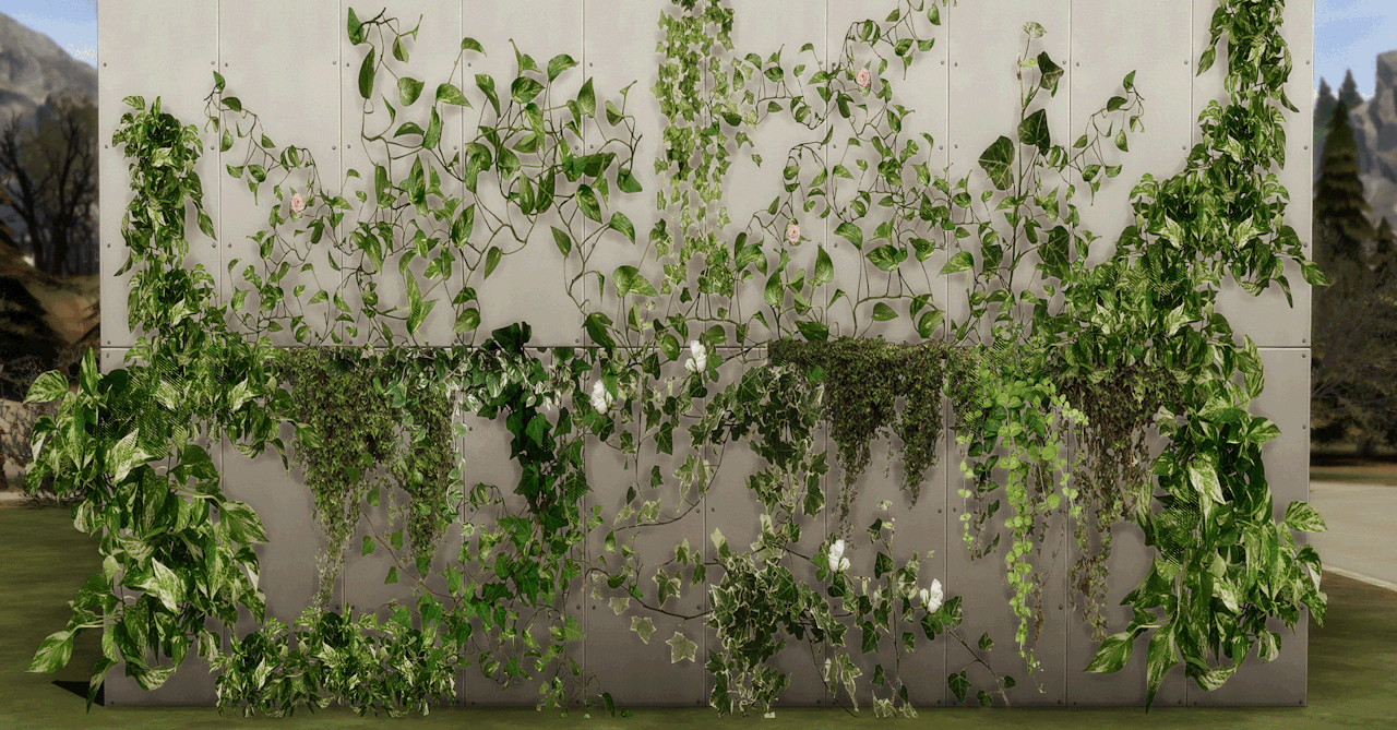 Растения на стену 