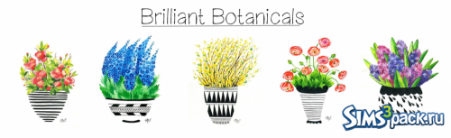 Картины Brilliant Botanical