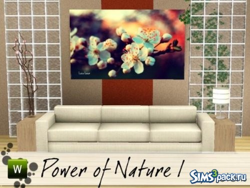 Постер Power of Nature I от Metens