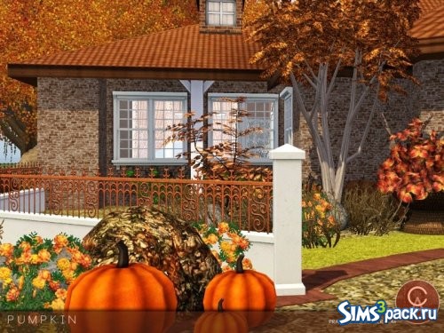 Дом Pumpkin