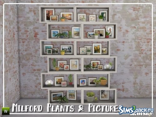 Фотографии и растения Milford от mutske