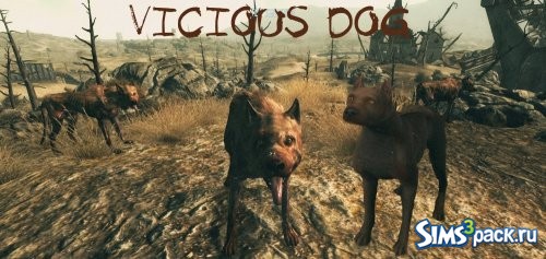 Vicious dog(Fallout)