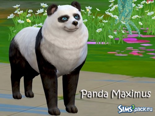 Панда Maximus от Sims House