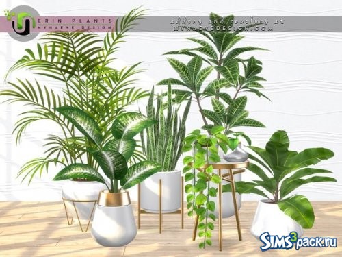 Сет Erin Plants от NynaeveDesign