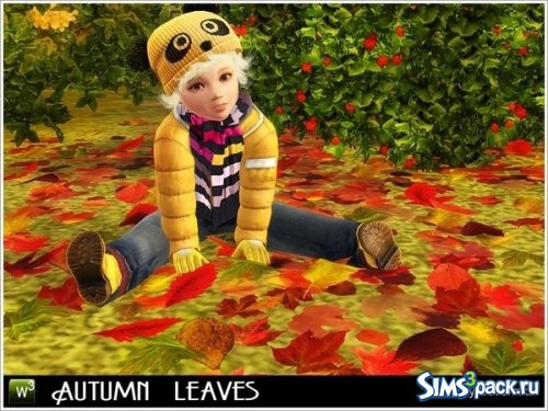 Осенние листья от Severinka_