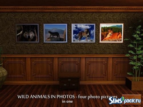 Фотографии Wild animals от AniFlowersCreations