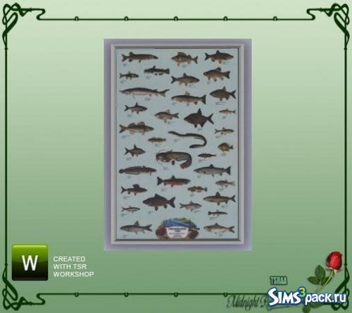 Постер Freshwater Fish от MidnightRose