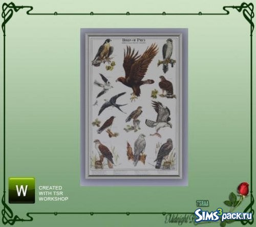 Постер Birds of Prey от MidnightRose
