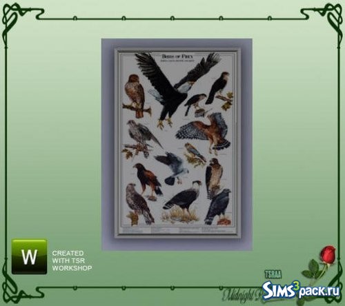 Постер Birds of Prey 2 от MidnightRose