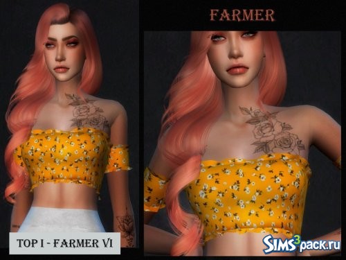 Топ FARMER VI от Viy Sims