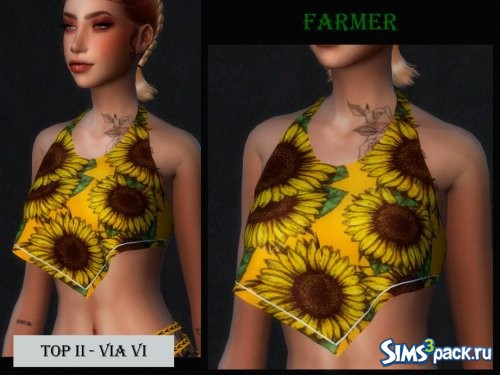 Кроп - топ FARMER VI от Viy Sims