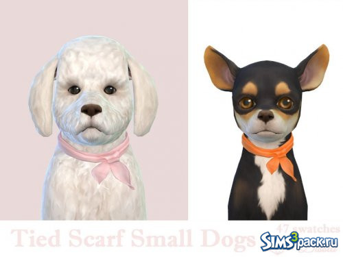 Шарф для маленьких собак от Dissia